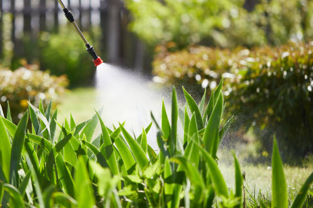 24/7 Emergency Mosquito Control experts in Daytona Beach, FL