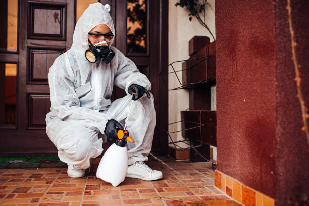 Reliable Mosquito Control contractor in Daytona Beach, FL by Show Me Pest Control
